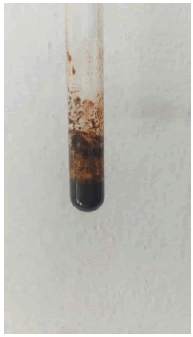 mp-17-1-003-g030
