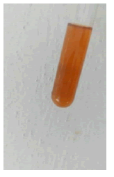 mp-17-1-003-g033