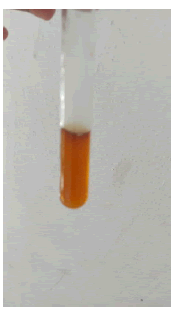 mp-17-1-003-g034