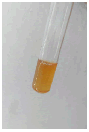 mp-17-1-003-g035