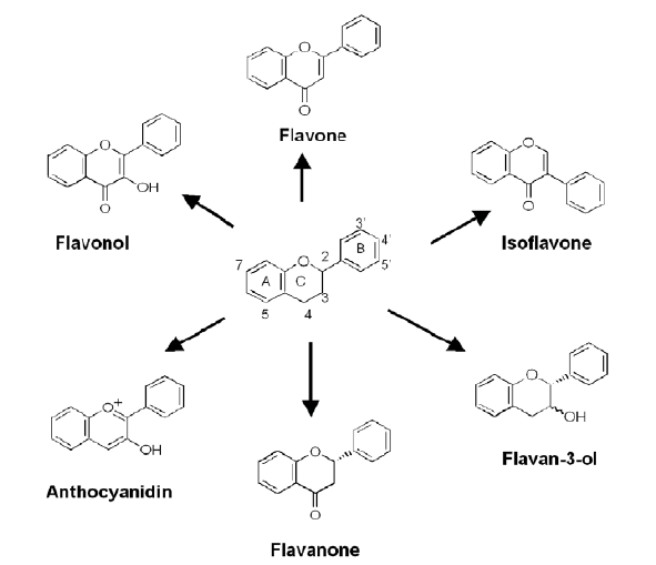 mp-17-1-Environmental-g006