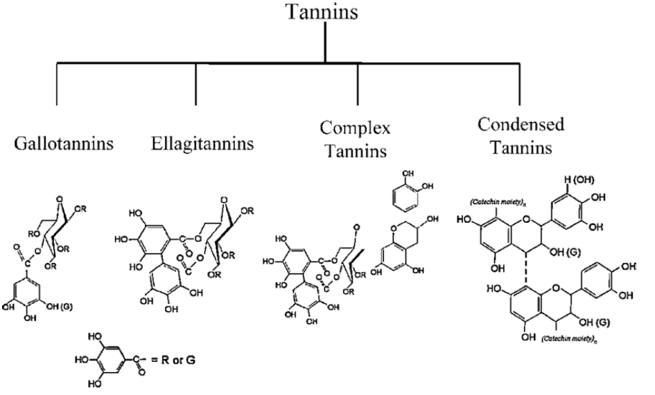 mp-17-1-Environmental-g007