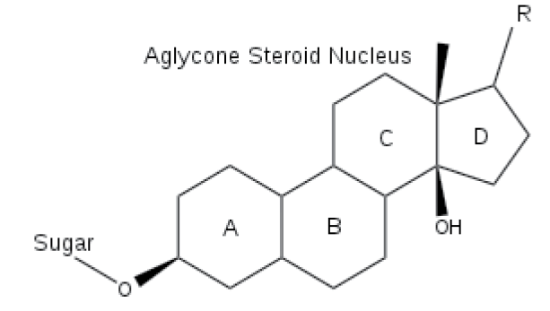 mp-17-1-Environmental-g010