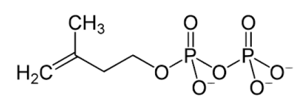 mp-17-1-Environmental-g011