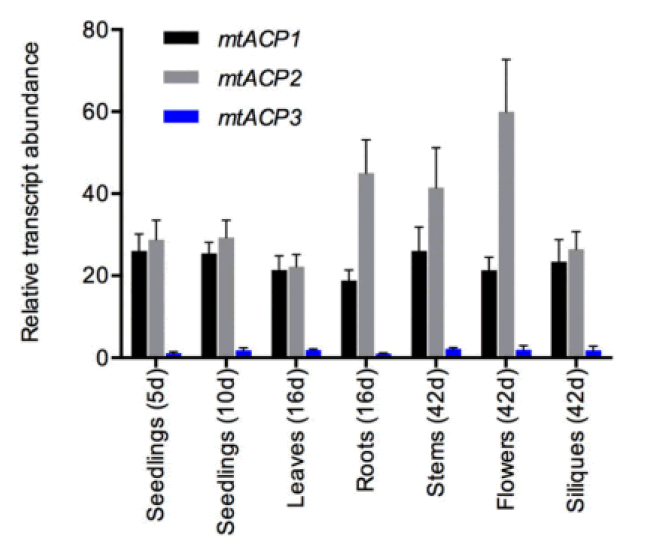 mp-17-1-Mitochondrial-g002