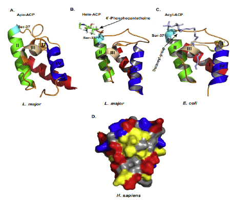 mp-17-1-Mitochondrial-g005