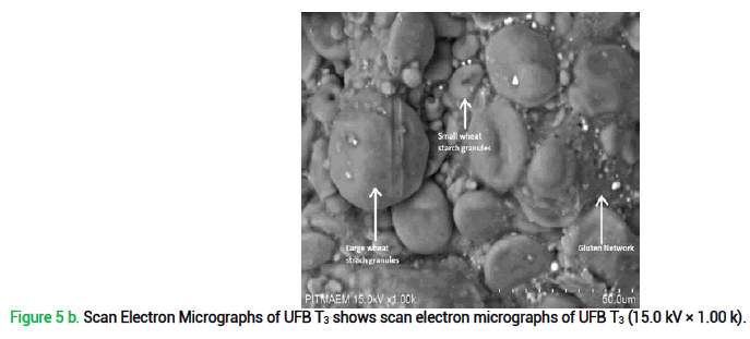 micrographs