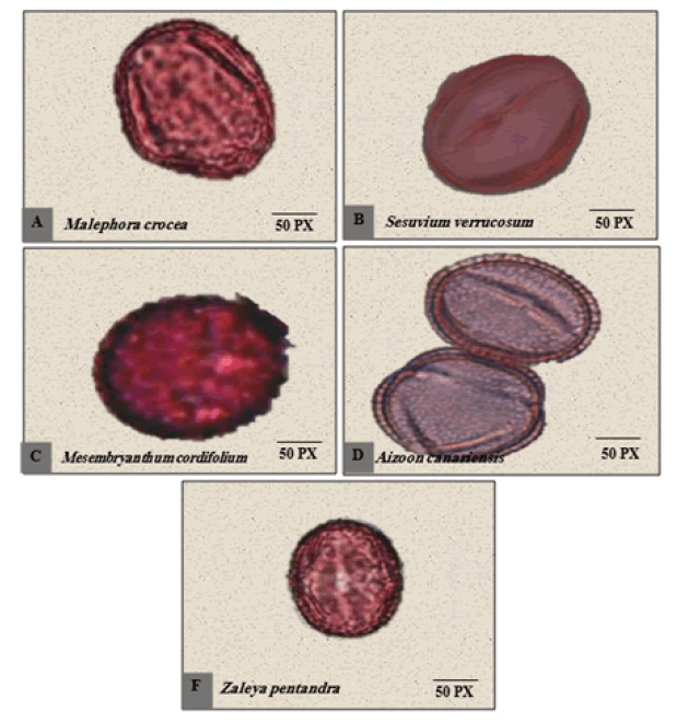 FIG11