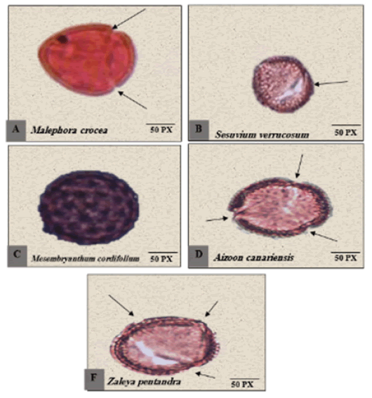 FIG11
