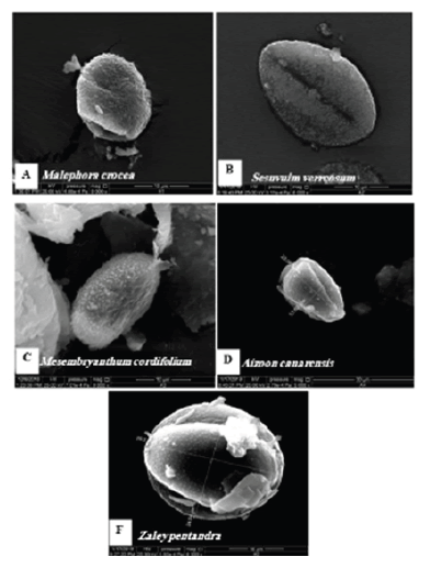 FIG11