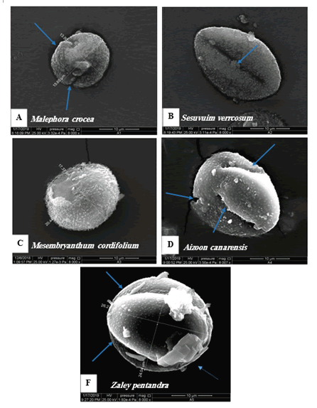 FIG11