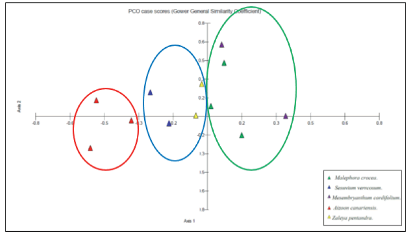 FIG16