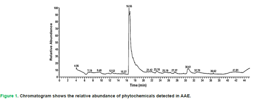 phytomorphology