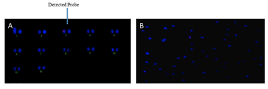 Fig4