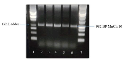 Fig5