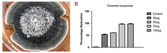 Fig6