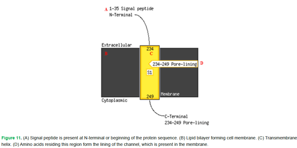 Fig11