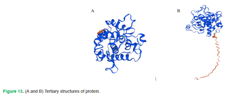 Fig13