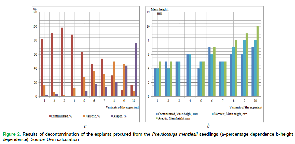 modern-phytomorphology-decontamination modern-phytomorphology-decontamination
