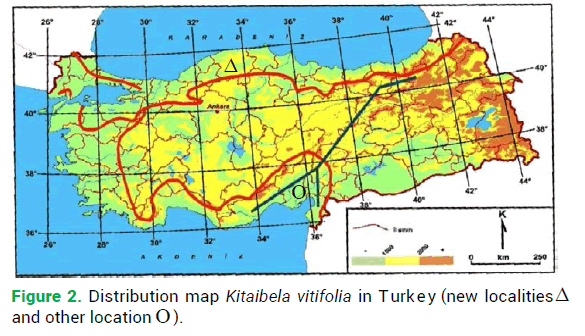 phytomorphology-Distribution-map